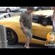 Watch Videos Of The Bear In A Lamborghini That Shut Down Traffic